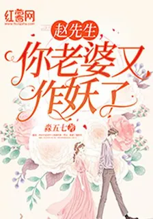 趙先生，你老婆又作妖了 封面