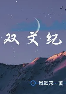 雙文紀 封面