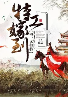 特工嫁到：爺，多擔待 封面