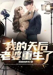我的天后老婆重生了 封面