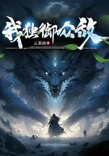 我獨御衆敵 封面