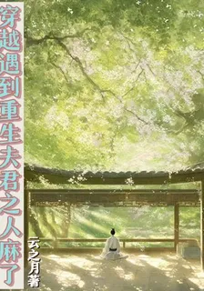 穿越遇到重生夫君之人麻了 封面