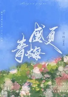 盛夏青梅 封面