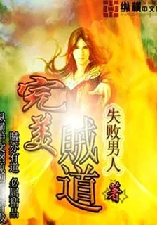完美賊道 封面
