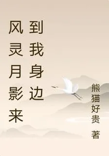 風靈月影來到我身邊 封面