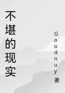 不堪的現實 封面