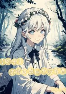 【綜漫】你猜我有幾個好哥哥 封面