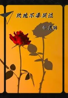 玫瑰不要哭泣 封面