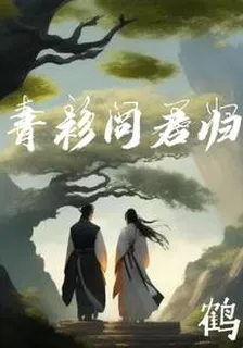 青衫問君歸 封面