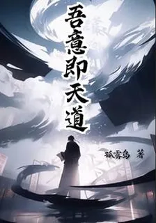吾意即天道 封面