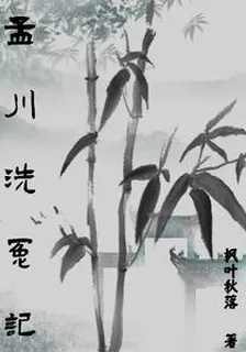 孟川洗冤記 封面