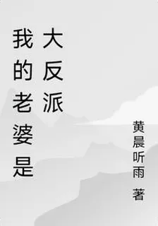 我的老婆是大反派 封面