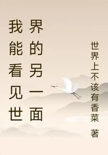 我能看見世界的另一面 封面