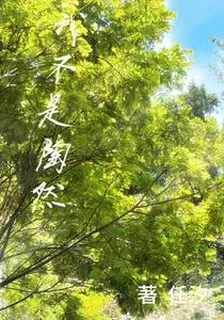 我不是陶然 封面