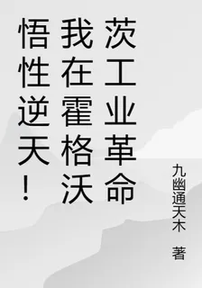 悟性逆天！我在霍格沃茨工業革命 封面