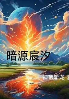 暗源宸汐 封面