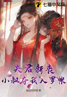 夫君新喪，小叔奪我入羅帳 封面