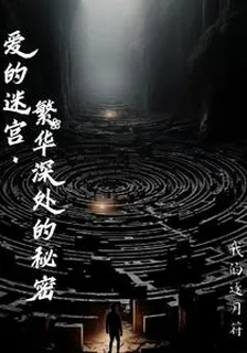 愛的迷宮與繁華深處的祕密 封面
