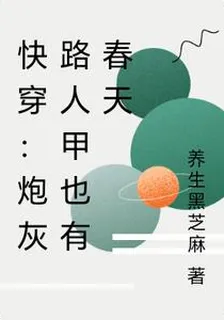 快穿：炮灰路人甲也有春天 封面