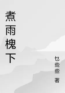 煮雨槐下 封面