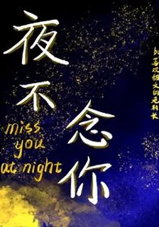 夜不念你 封面