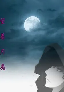 望着月亮 封面