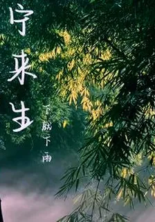 寧來生 封面
