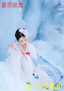 星辰破虛 封面