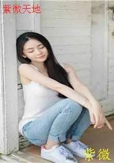 紫微天地 封面