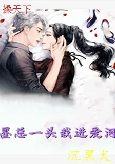 操天下 封面