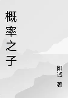 概率之子 封面
