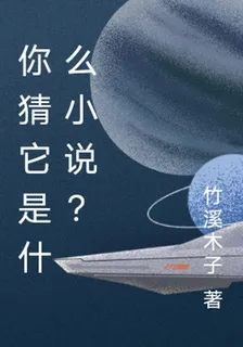 你猜它是什麼小說？ 封面