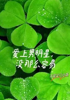 愛上男明星，沒那麼容易 封面
