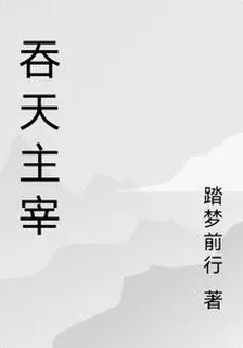吞天主宰 封面