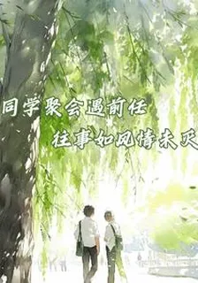 同學聚會遇前任，往事如風情未滅 封面