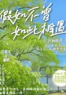 假如不曾如此相遇 封面