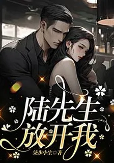 陸先生，放開我 封面