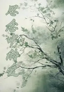 思念中的愛 封面