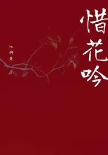 惜花吟 封面