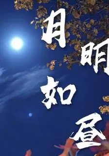 月明如晝1 封面