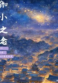 伽小之念 封面