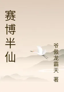 賽博半仙 封面