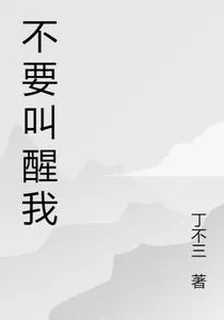 不要叫醒我 封面