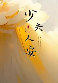 少夫人安 封面