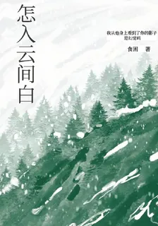怎入雲間白 封面