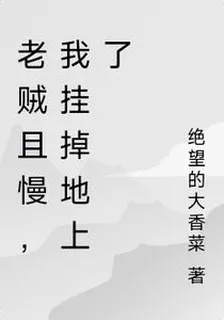 老賊且慢，我掛掉地上了 封面