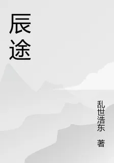 辰途 封面