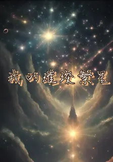 我的璀璨繁星 封面