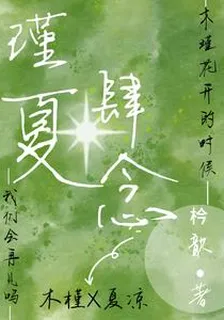 瑾夏肆念 封面