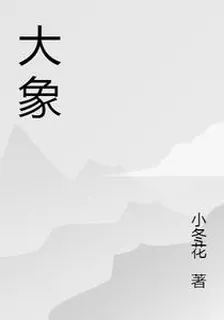 大象 封面